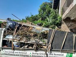 Best Hoarding Cleanup  in Glendale, OH